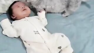 I advise you to raise kittens, they will be cute????