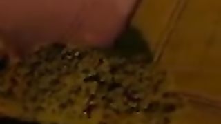 آيات قرآنيه تريح القلب والنفس