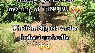Full meaning of TINUBU