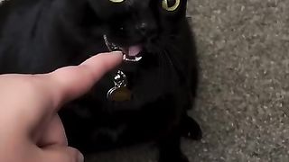 Mother I crave violence