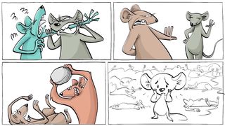 The Universe 25 Mouse Experiment