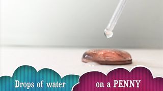 Drops of water on a PENNY experiment / How many drops can fit on a penny?