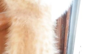 funny cat.Try Not To Laugh Challenge - Funny Cat