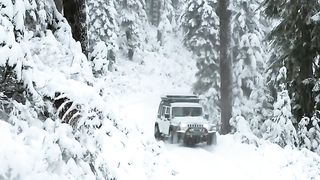 Neve Alasca -800