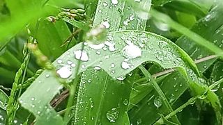 Hanging water