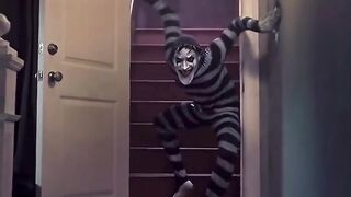 Horror Movie