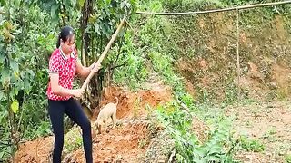 How to bamboo house for ducks