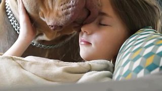 Loyalty of dogs
