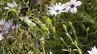 Amazing natural, enjoy your life