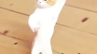 ❤️????