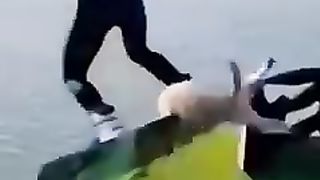 Funny Animal Videos Of The Day 0030! ???????? #fyp #memes #memedaily