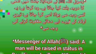 Har nai Subha Aik Hadis KY sath ||Day 22||#islamicquotes # #reels #shortsfeed #islamicstatus