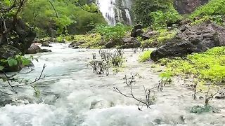 Nice video