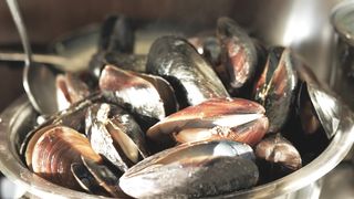 Mussels Cooking Close-up