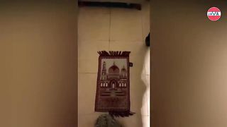 the cat stopped aside when the owner prayed