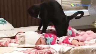 cat with smal child