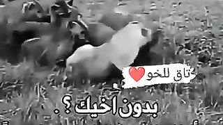 My family