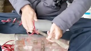 الخيط البريع