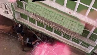 #Eid e qurban