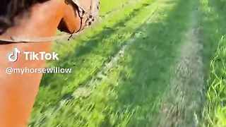 A horse