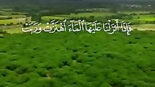 و ترى الأرض هامده