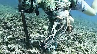 The_Best_Way_to_Catch_Seafood(360p).
