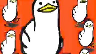 Dackkooc