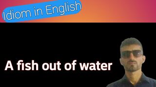 Idiom used in daily routine|A fish out of water in English|How to learn idiom