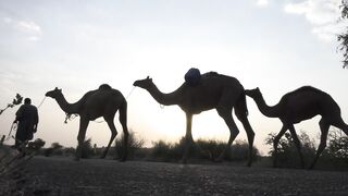 Beauty of Pakistan thal sariki culture ????