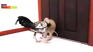 monkey and electryon fighting