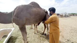 Meri chothin video ap sub ky name