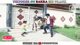 TIK TOKER ON BAKRA EID PRANK - By Nadir Ali & Rizwan khan in - P 4 Pakao - 2023