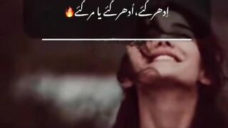 Urdu shaeri