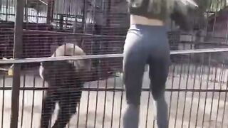 funny dog videos try not to laugh #funny animals????????