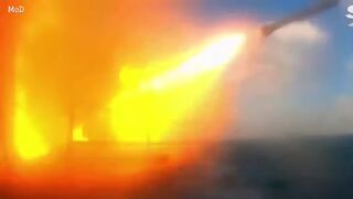 Russian and Chinese warships fire guns and practice 'submarine capture'