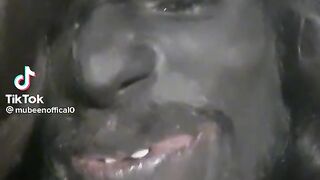 Funny videos