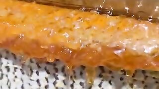 Honey|bee|original