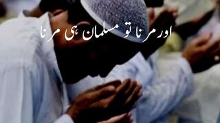 Buttifol surat  urdu translation