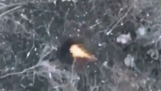 Ukrainian drones giving hell to Russian invaders
