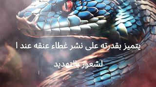 التعرف على مميزات الثعبان الملقب الكوبرا