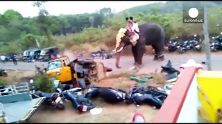 Scary angry Elephant goes on rampage flipping 27 vehicles