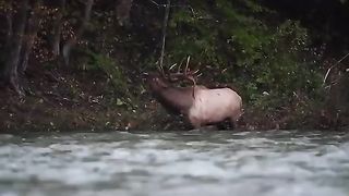 Nature nature
