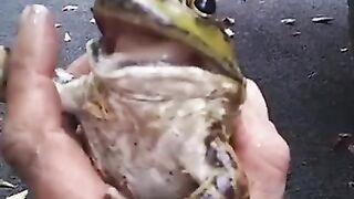 #funny