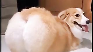 #funny