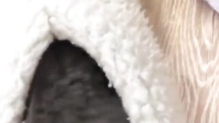 #funny