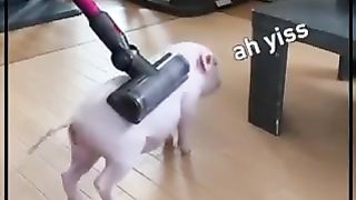 #funny