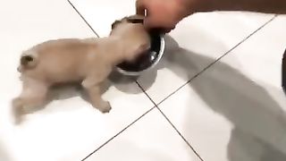 #funny