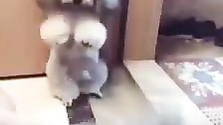 #funny
