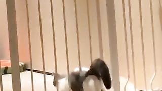 #funny
