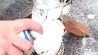 Funny  Videos Of The Day 0030! ???????? #fyp #memes #memedaily